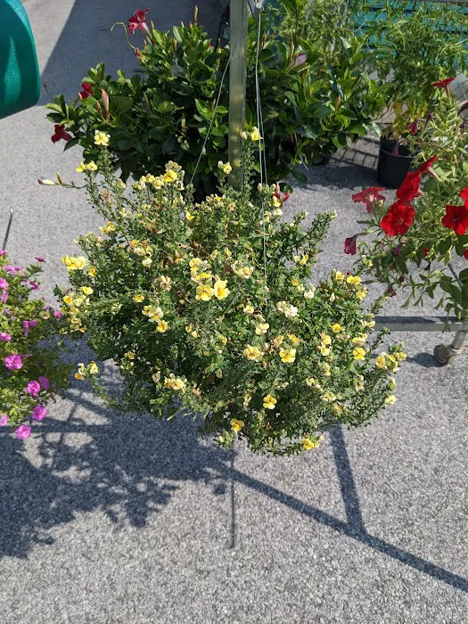 Allerdice Ace Hardware Picture 10