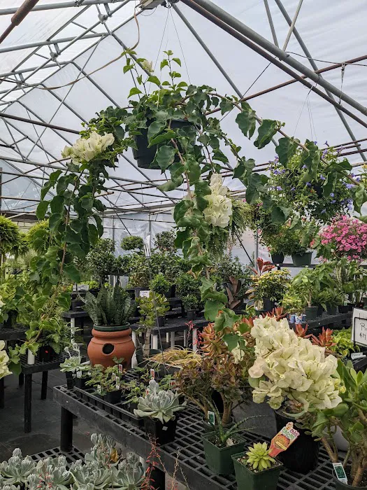 Allerdice Ace Hardware Picture 9