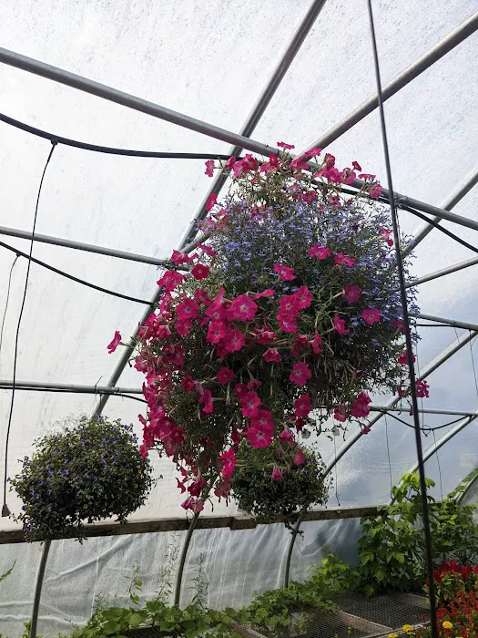 Allerdice Ace Hardware Picture 1