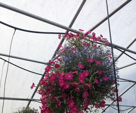 Allerdice Ace Hardware