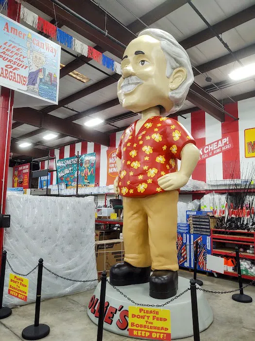 Ollie's Bargain Outlet Picture 10