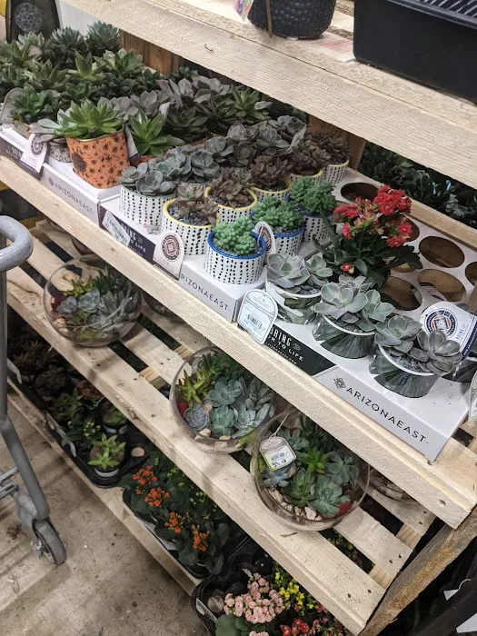 The Home Depot Picture 9