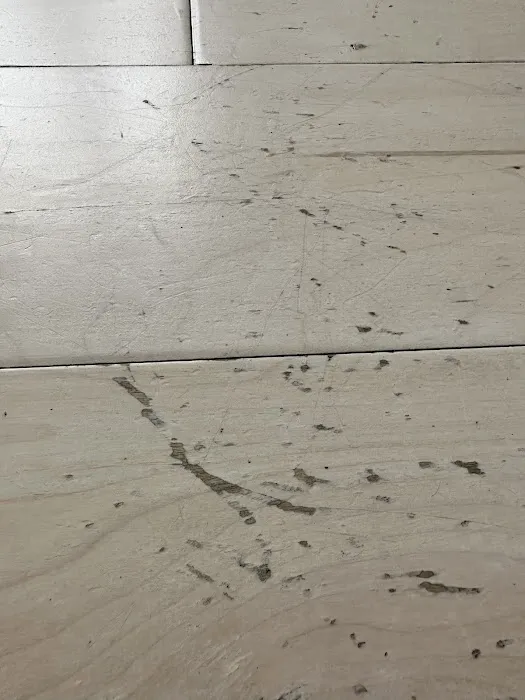 Mannington Mills Picture 2