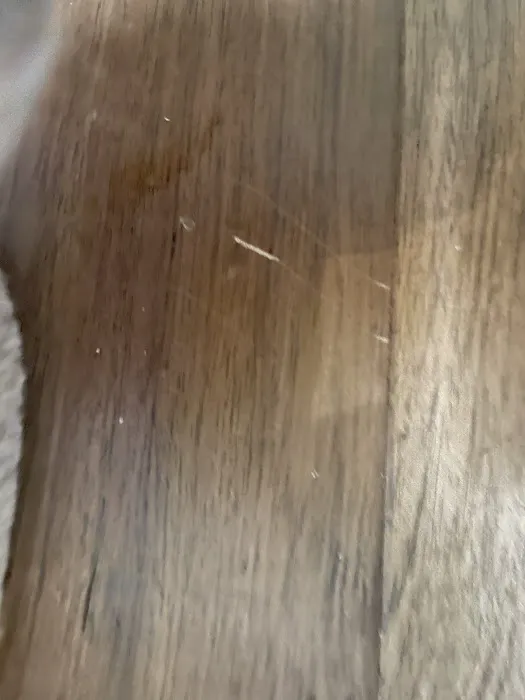 Mannington Mills Picture 4