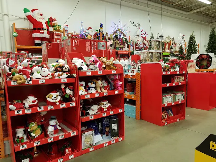 The Home Depot Picture 8