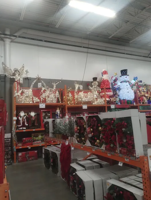 The Home Depot Picture 10