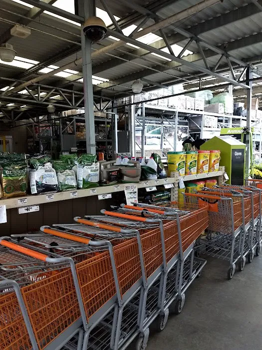 The Home Depot Picture 10