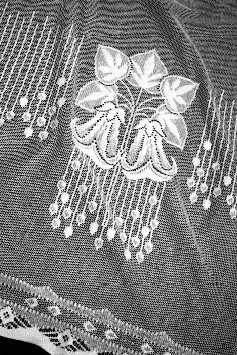 Cooper Lace Picture 7