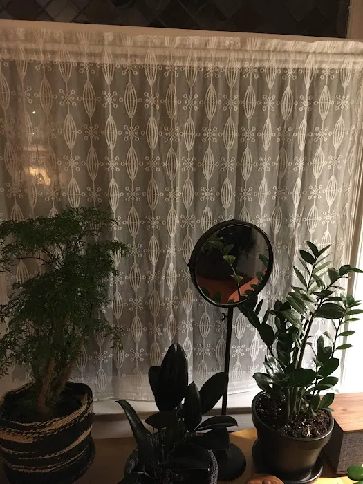 Cooper Lace Picture 2