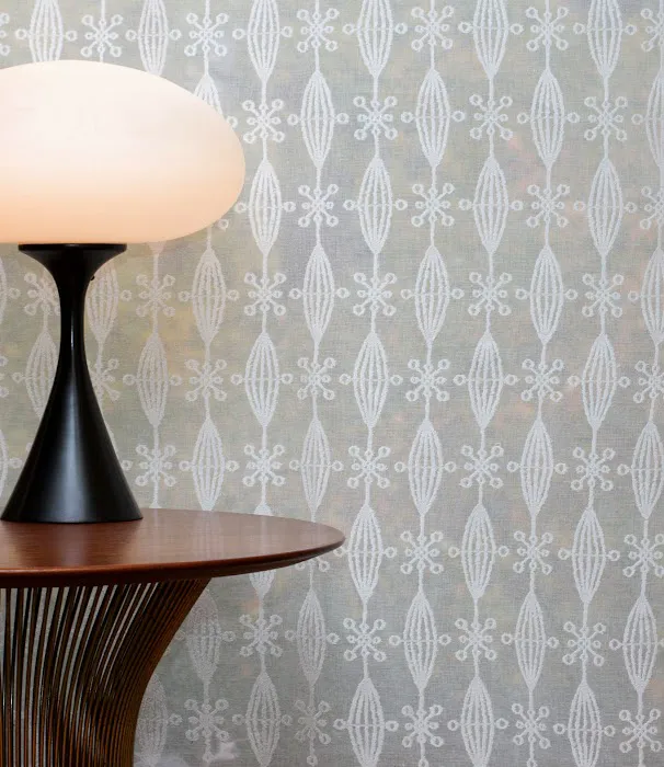 Cooper Lace Picture 3