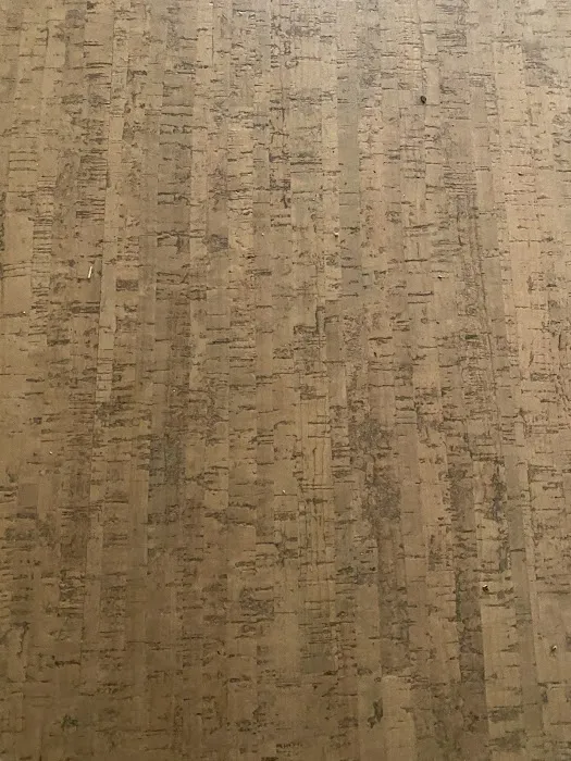 Earth First Flooring & Tile Co. Picture 6