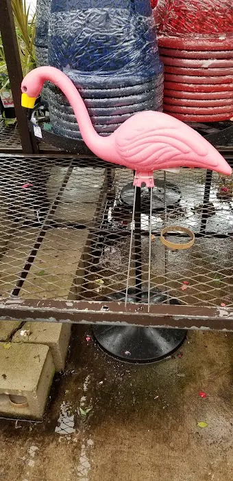 Lowe's Home Improvement Picture 10