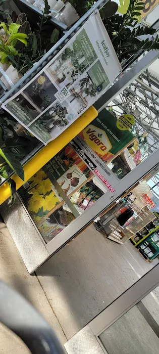 The Home Depot Picture 5