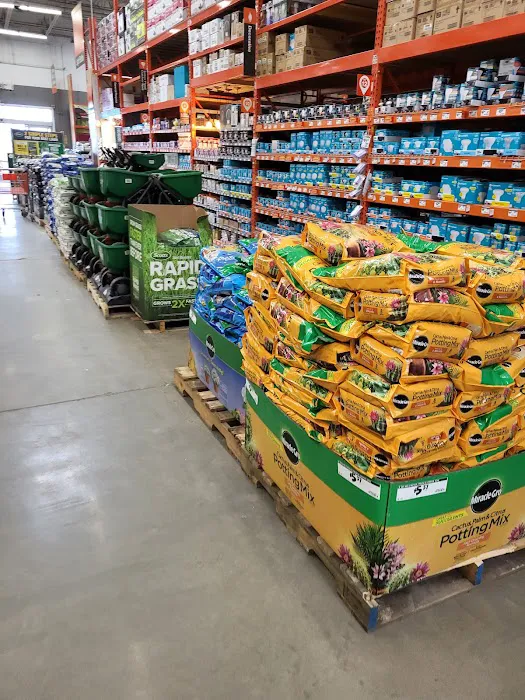 The Home Depot Picture 3