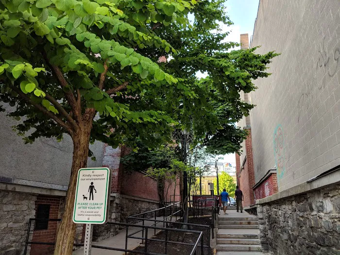 Abbey Carpet & Floor of Watertown Picture 2