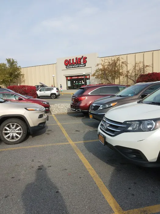 Ollie's Bargain Outlet Picture 5