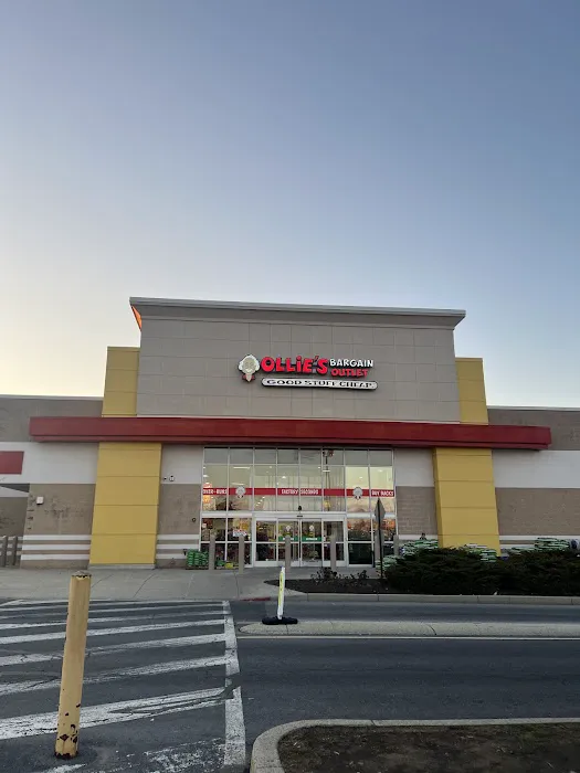 Ollie's Bargain Outlet Picture 3