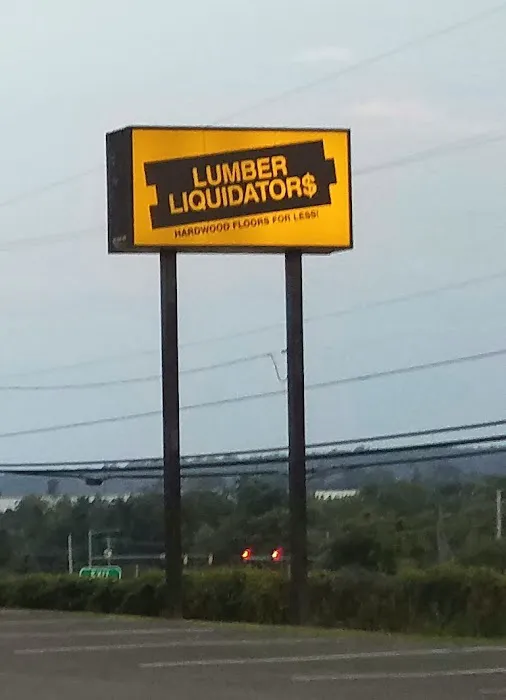 Lumber Liquidators Picture 1