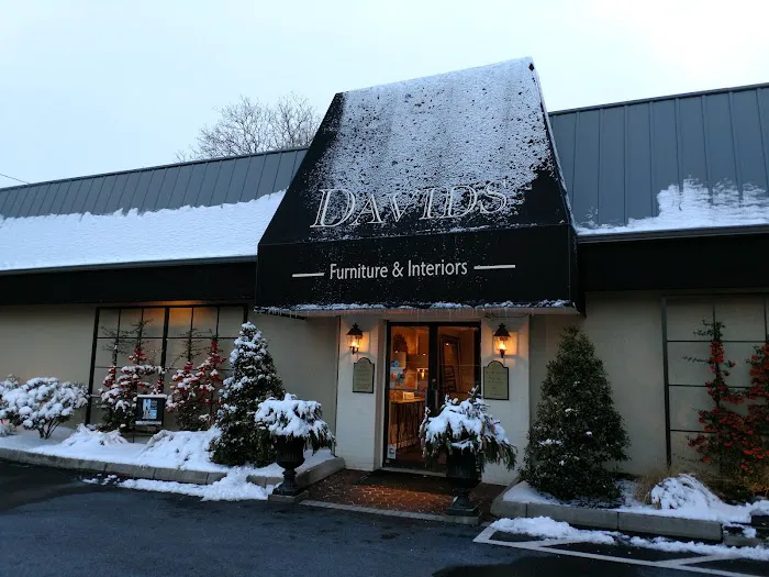 David's Interiors Picture 4