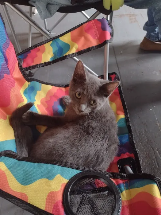 Ollie's Bargain Outlet Picture 1