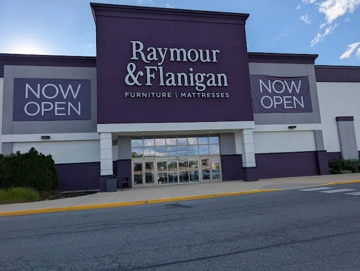 Raymour & Flanigan Furniture and Mattress Store Picture 4