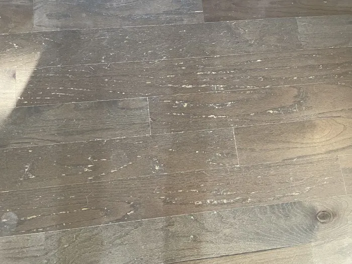 AHF Products Headquarters Picture 5