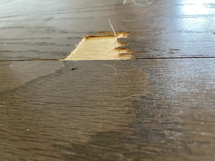 AHF Products Headquarters Picture 3