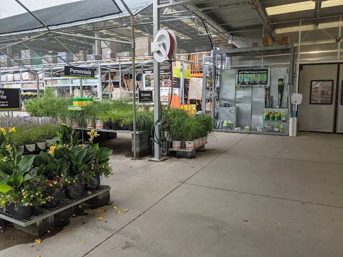 The Home Depot Picture 5