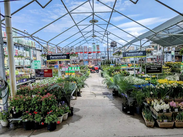 The Home Depot Picture 10