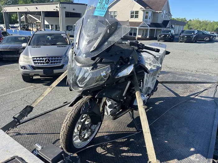 Bel Air Carpet Picture 1