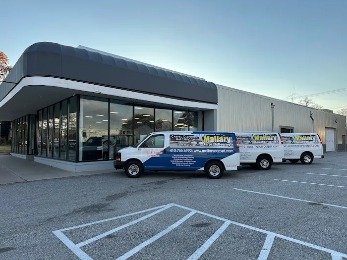 Mallary Carpet & Flooring Picture 2