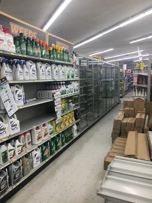 Rommel's Ace Home Center Picture 8