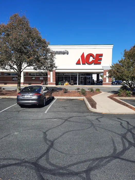 Rommel's Ace Home Center Picture 9