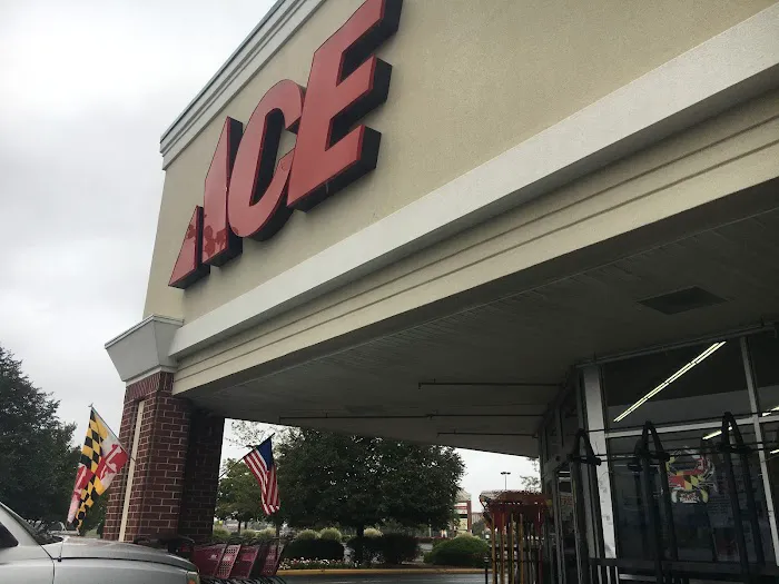 Rommel's Ace Home Center Picture 2