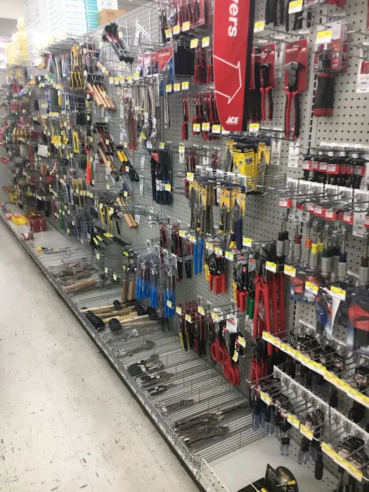 Rommel's Ace Home Center Picture 6