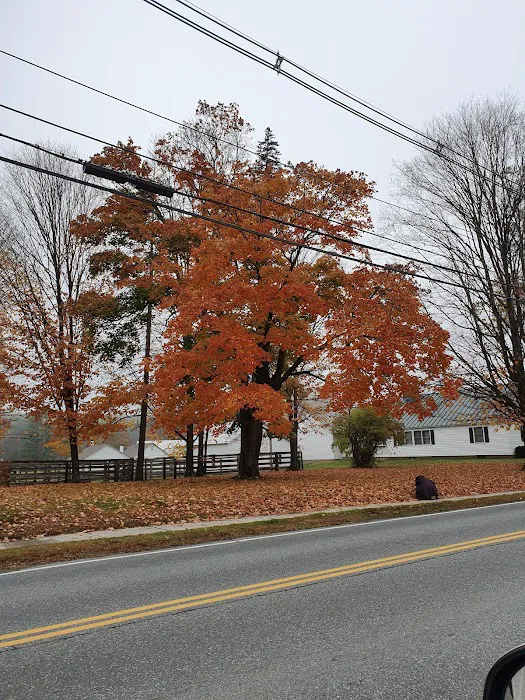 Knockout Carpet Inc Picture 1