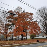 Knockout Carpet Inc ico