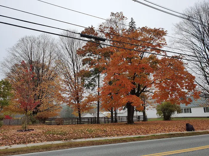 Knockout Carpet Inc Picture 2