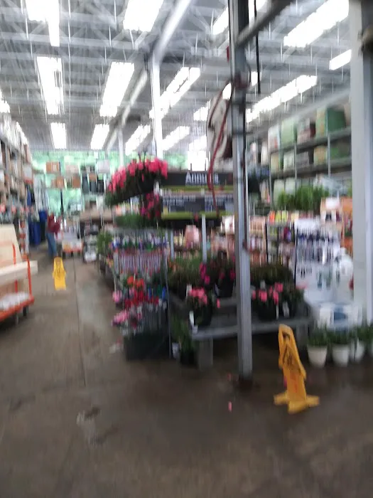 The Home Depot Picture 4