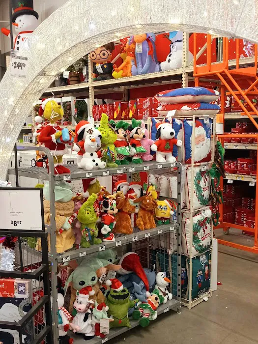 The Home Depot Picture 9