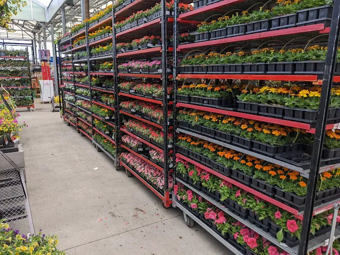 Lowe's Home Improvement Picture 10