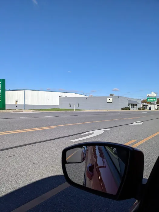 DeGol Carpet Picture 3