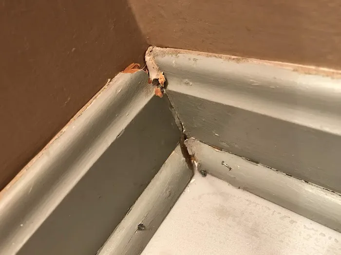 DeGol Carpet Picture 1