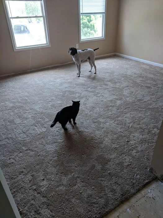 DeGol Carpet Picture 9