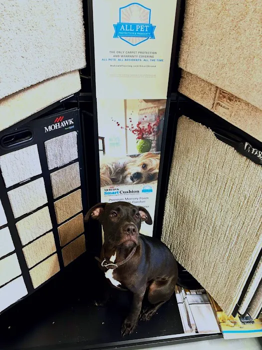 Shorely Beautiful Picture 9