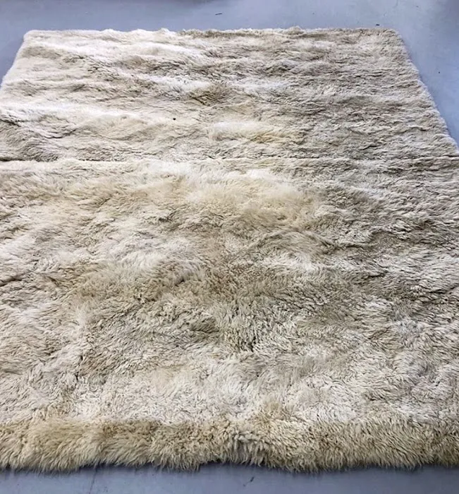 Capital Rug Cleaning Picture 3