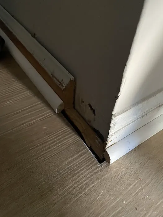 Carpeting King Inc Picture 1