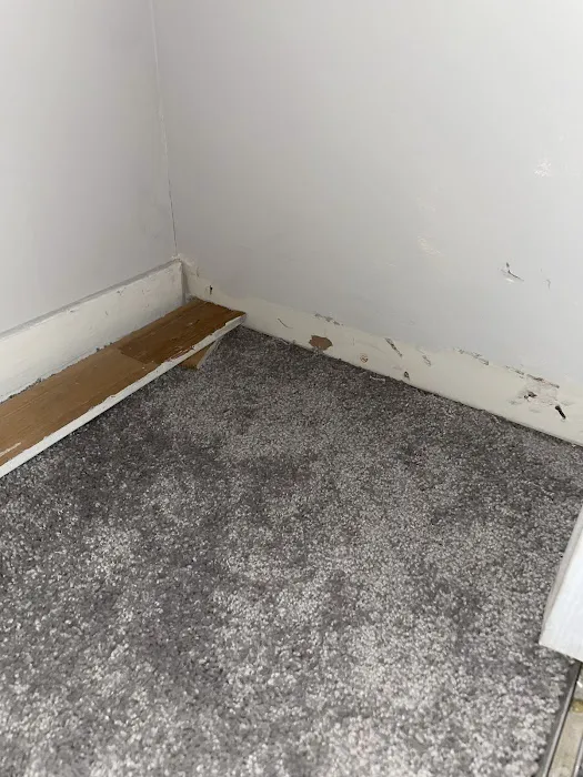 Carpeting King Inc Picture 5