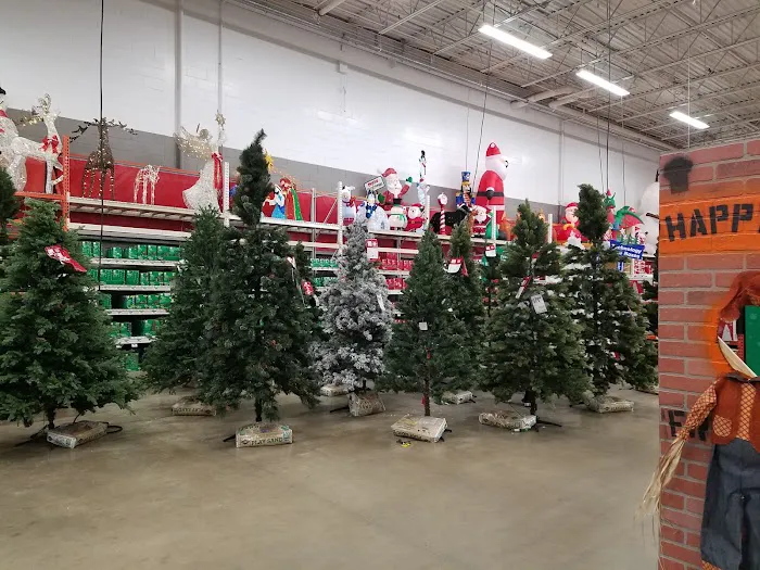 The Home Depot Picture 1
