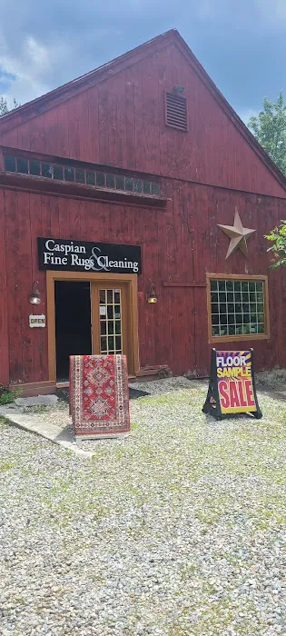 Caspian oriental rugs importers Picture 1